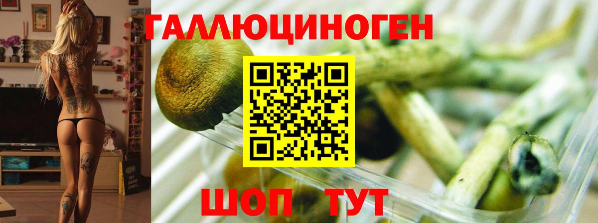 Галлюциногенные грибы MAGIC MUSHROOMS  Вход с VPN  Жигулёвск 